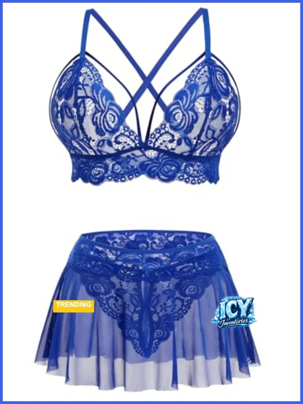 Women's Sheer Lace 3pc Lingerie Set with Skirt and Panties